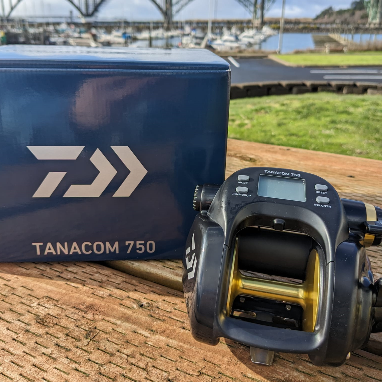 Daiwa Tanacom750 Electric Reel | Newport Marina Store